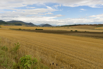 Fototapeta na wymiar Straw field in the province of navarra, spain