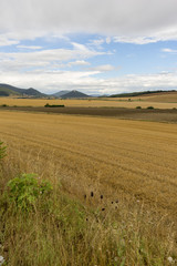 Straw field in the province of navarra, spain