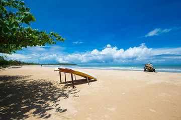 beach and tropical sea