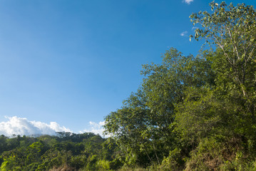 Summer landscape with bright blue sky and green forest in Guatemala