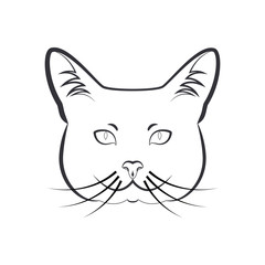 Tom cat.