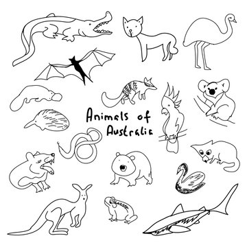 Animals of Australia (a set of simple drawings)