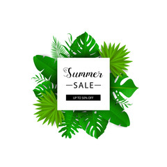 Summer sale. Vector illustration. Summer banner with 3d hawaiian leaf isolated on white background. Floral banner with border.