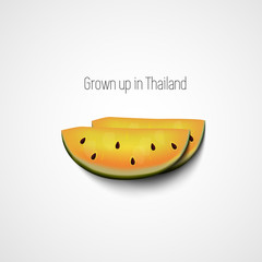 Watermelon half slice isolated. Vector illustration. Summer symbol. Grown up in Thailand