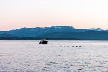 Naklejka premium Ducks and Small Boat on a Blue Lake