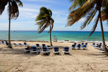 Obraz premium Deck chairs under palm trees in Maria la Gorda, Cuba