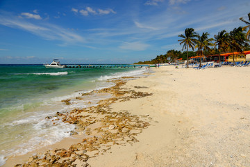 Beach at Maria la Gorda resort in Cuba