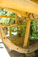 Ancient wood water wheel mis century © Omaly Darcia