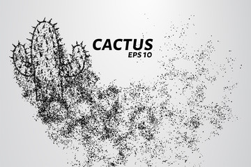 Fototapeta na wymiar Cactus of the particles. Cactus consists of small circles and dots.