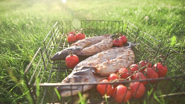 Roasted and grilled scomber lies on the green grass with cherry tomatoes in the sunset light, cooking outside, meals from fish, grill and barbecue