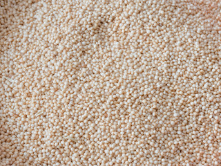 Close shot of a group of sesame seeds (Sesamum indicum
