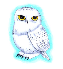 Hand drawn Snowy owl by markers and pencils