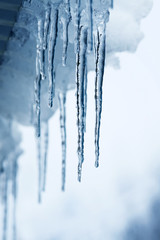 transparent icicles hanging from the roof in winter and glitter - obrazy, fototapety, plakaty