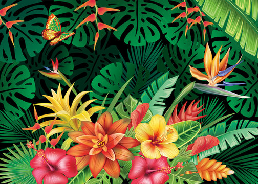 Illustration with tropical plants