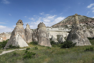 Fototapeta na wymiar Rock Formations in Pasabag Monks Valley, Cappadocia