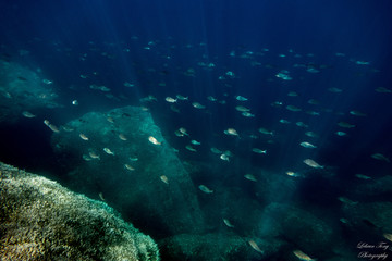 Banc de Soap dans le Cap
