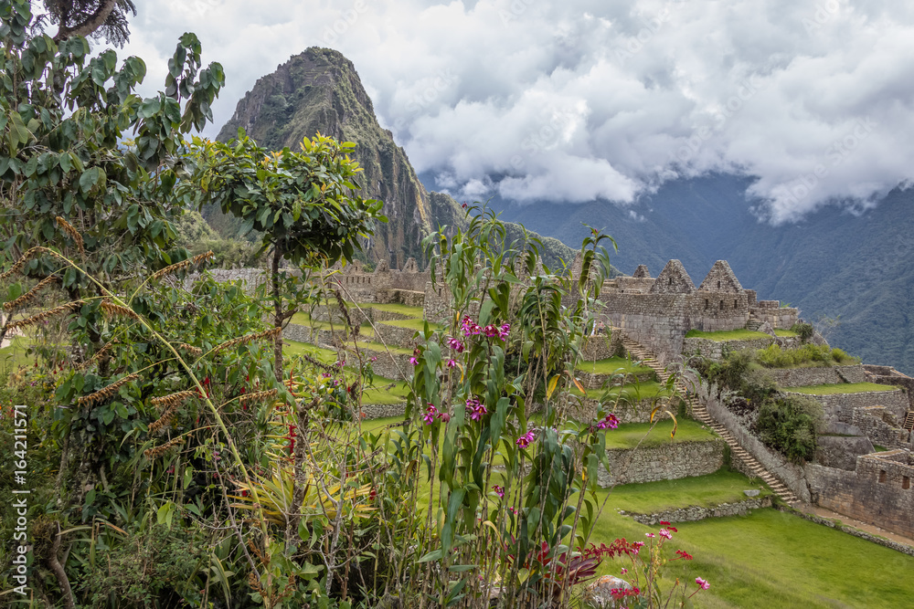 Poster Machu Picchu Inca Ruins - Sacred Valley, Peru