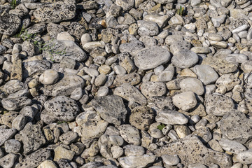 Limestone Rocks on Beach