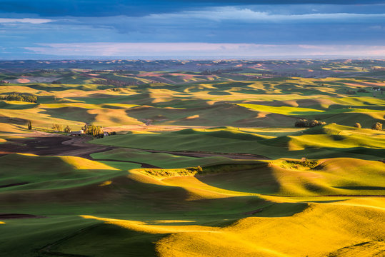 light & shadow in rolling hills