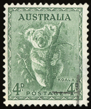 Postage Stamp (Australia - Koala)	