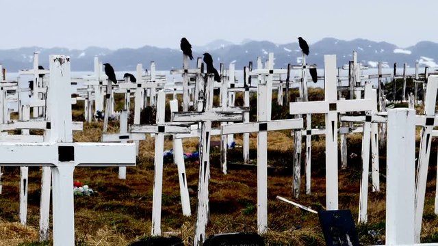 Ravens perching on wooden cemetery crosses mountain fjord Nuuk Greenland