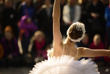International Dance Day, ballerina, swan lake