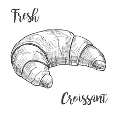 Fresh croissant isolated on white background. Vector illustration of a sketch style.
