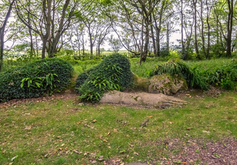 Obraz premium Sleeping woman.