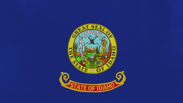 Loopable: Idaho flag...Flag of state Idaho waving in the wind...Seamless loop...Made from ultra high-definition original with detailed fabric texture.