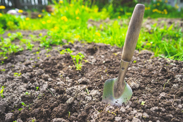 Scapula on the background of fertile soil. Place for the text. The concept of agriculture. Metal garden tools