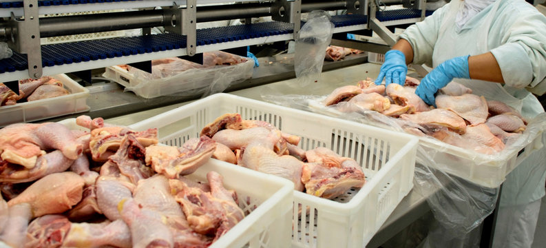 Frigor&iacute;fico de aves