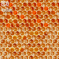 Background texture and pattern of a section of wax honeycomb from a bee hive filled with golden honey in a full frame. Vector