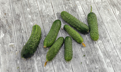Cucumber on the background of the texture of the wood