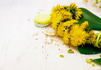 Green and yellow macaroons with the leaf of a monstera and wreath of dandelions
