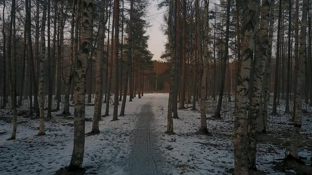 Aerial View, aerial survey drone walk in derelict city park, melting ice crust and perfuse dirt, naked trunks tree,  forgotten place.