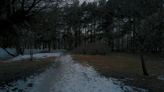 Aerial View, aerial survey drone walk in derelict city park, melting ice crust and perfuse dirt, naked trunks tree,  forgotten place.