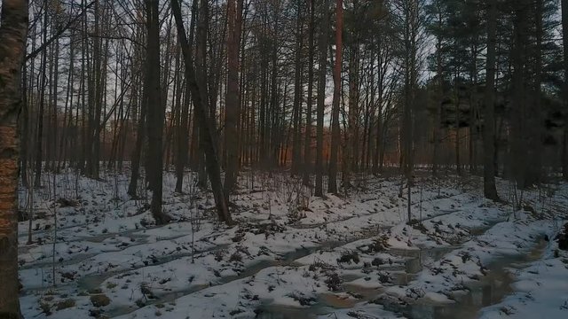 Aerial View, aerial survey drone walk in derelict city park, melting ice crust and perfuse dirt, naked trunks tree,  forgotten place.