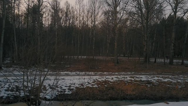 Aerial View, aerial survey drone walk in derelict city park, melting ice crust and perfuse dirt, naked trunks tree,  forgotten place.
