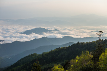 Fototapeta premium Morning sea of clouds 