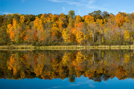 Autumn Reflections