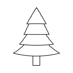 Fototapeta premium Tree pine isolated