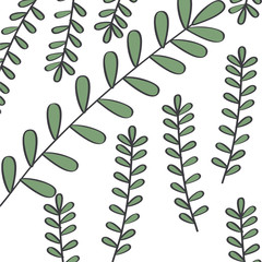 Leafy branch natural pattern vector illustration design
