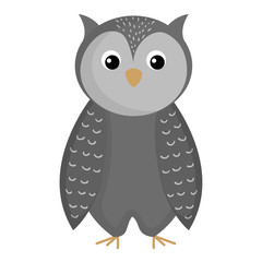 cute and tender owl vector illustration design