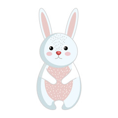 cute and tender rabbit vector illustration design