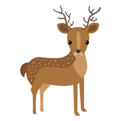 cute and tender reindeer vector illustration design