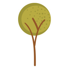 tree plant isolated icon vector illustration design