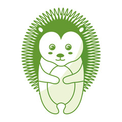 cute and tender Porcupine vector illustration design
