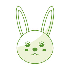 cute and tender rabbit vector illustration design