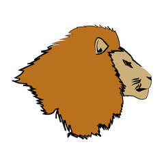 head big lion african powerful fierce