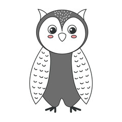 cute and tender owl vector illustration design